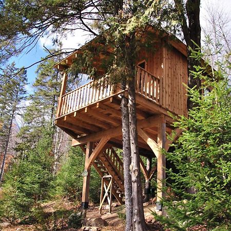 Les Cabanes Du Trappeur Wentworth-Nord Екстериор снимка