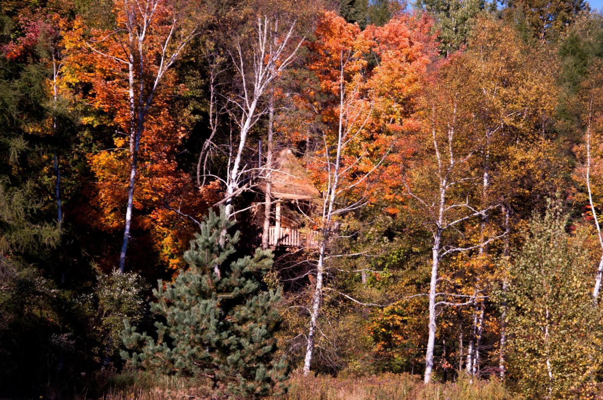 Les Cabanes Du Trappeur Wentworth-Nord Екстериор снимка