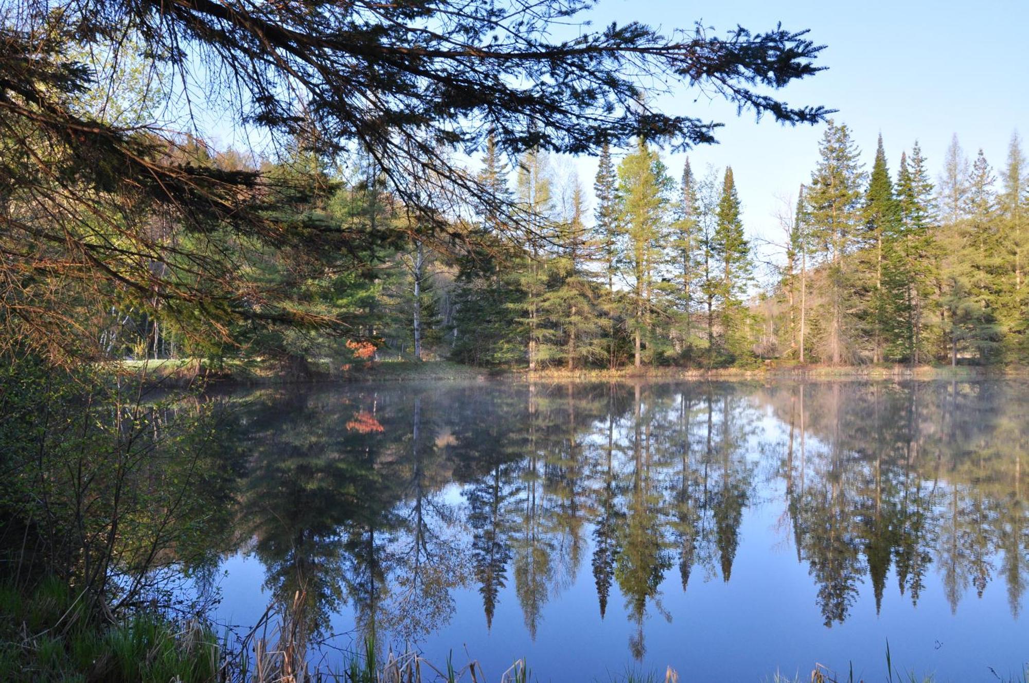 Les Cabanes Du Trappeur Wentworth-Nord Екстериор снимка