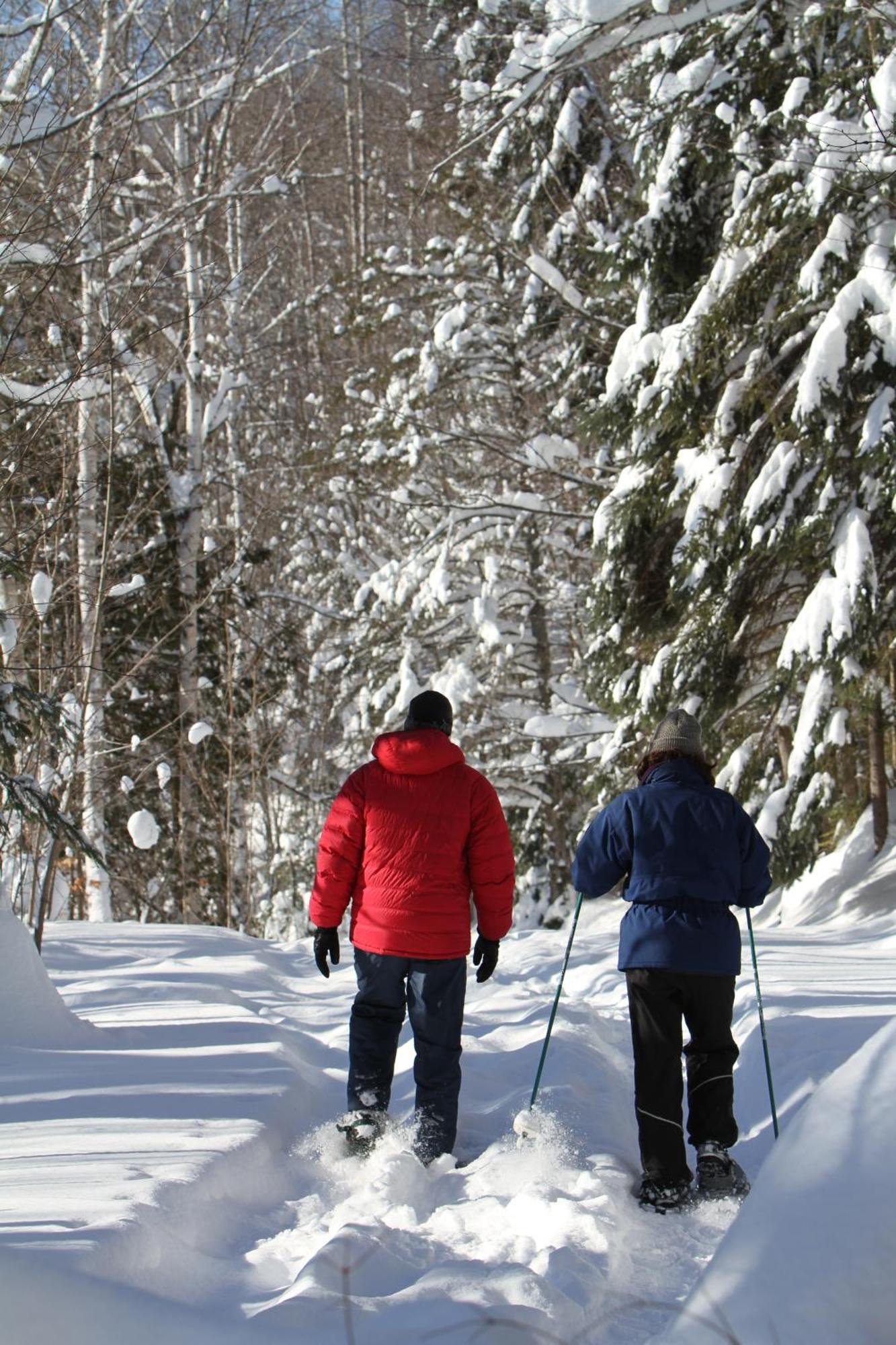 Les Cabanes Du Trappeur Wentworth-Nord Екстериор снимка