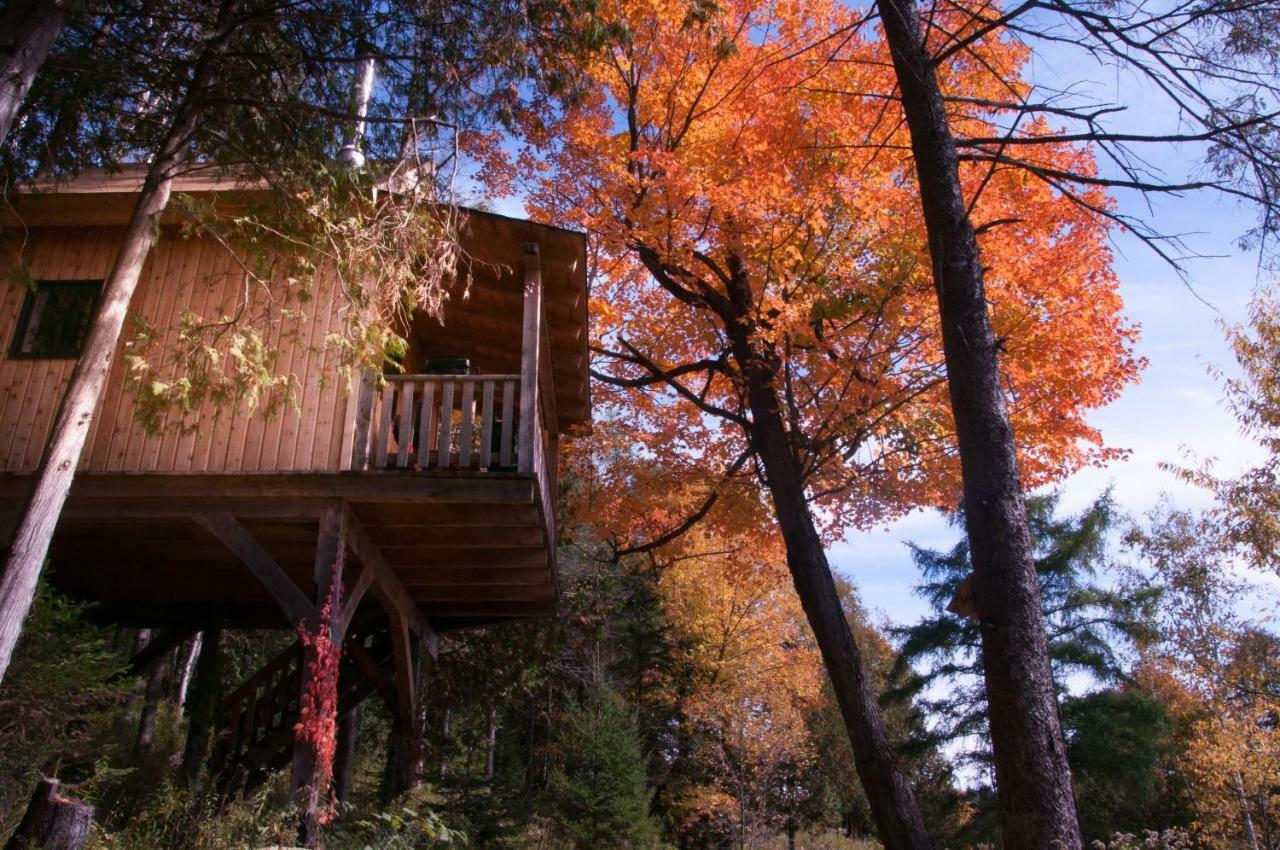 Les Cabanes Du Trappeur Wentworth-Nord Екстериор снимка